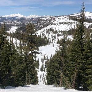 Meet your Posher, Shiley